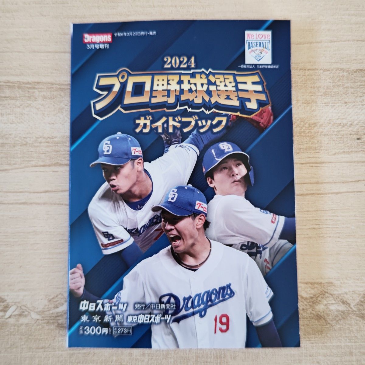 プロ野球選手ガイドブック　2024