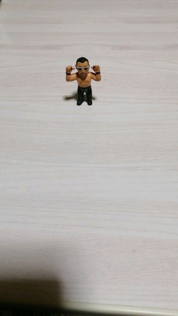 プロレス フィギュア 蝶野正洋 4cm