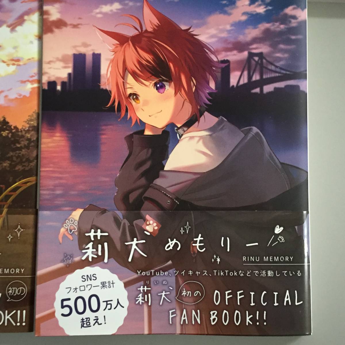 〇すとぷり ファンブック 5冊 初版 帯付き 莉犬めもりー ころん 〇すとぷり ファンブック 5冊 初版 帯付き 莉犬めもりー ころん