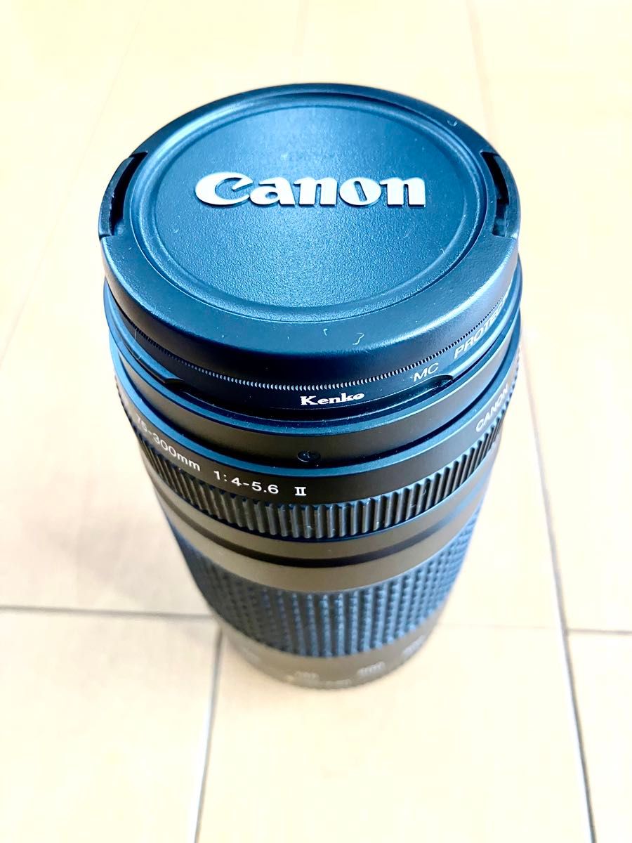 CANON キヤノン カメラレンズ ZOOM 75-300mm