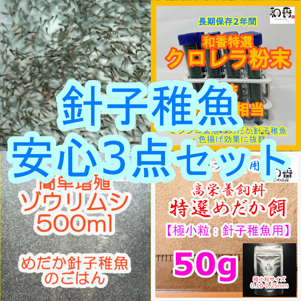 送料安★針子稚魚安心3点 ゾウリムシ500ml&粉末生クロレラ&特選粉餌50gセット 針子稚魚用 めだか金魚グッピーの餌エサえさミジンコ生餌_安心の針子稚魚生存率UPセット