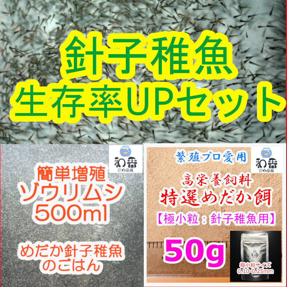 針子稚魚 生存率UP★ ゾウリムシ500ml&特選めだか餌極小粒50gセット めだかグッピーらんちゅう金魚ベタの餌_針子稚魚生存率UPセット