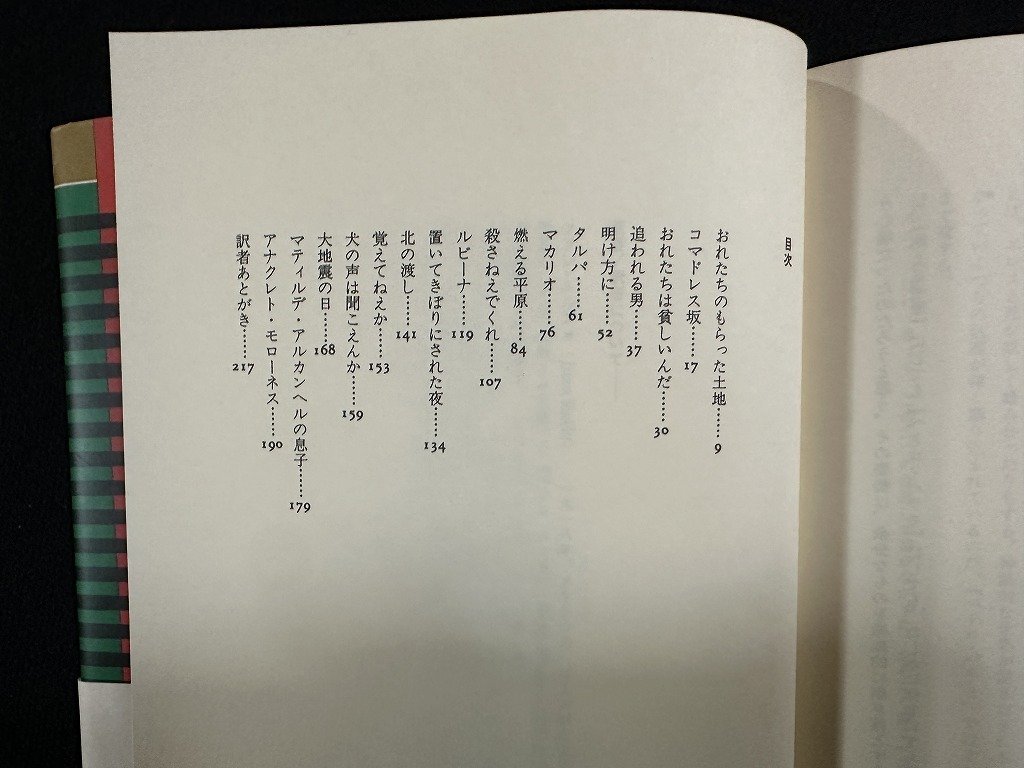 ｗ▼* 燃える平原 叢書アンデスの風 著・フアン・ルルフォ 訳・杉山晃 1990年 白馬書房 風の薔薇 古書/ f-K09の画像3