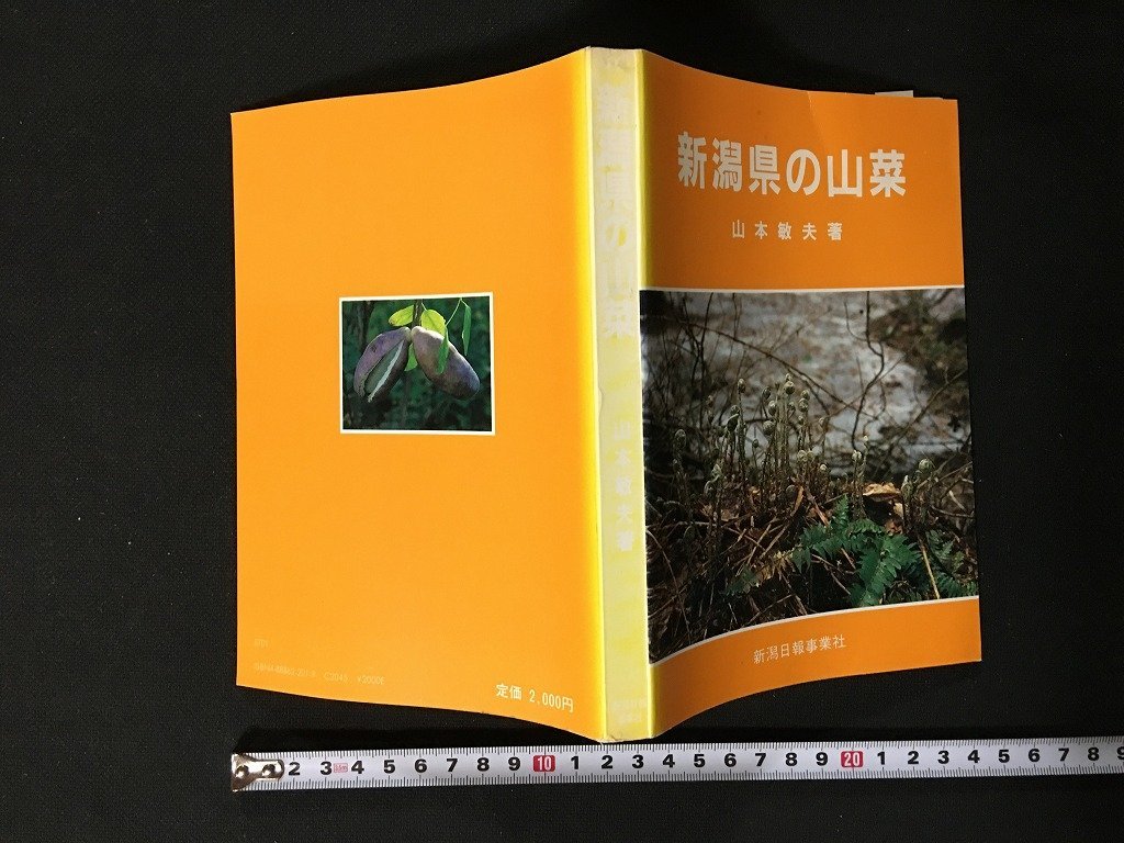 ｗ◆　新潟県の山菜　著・山本敏夫　昭和58年2刷　新潟日報事業社　/N-m17_画像1