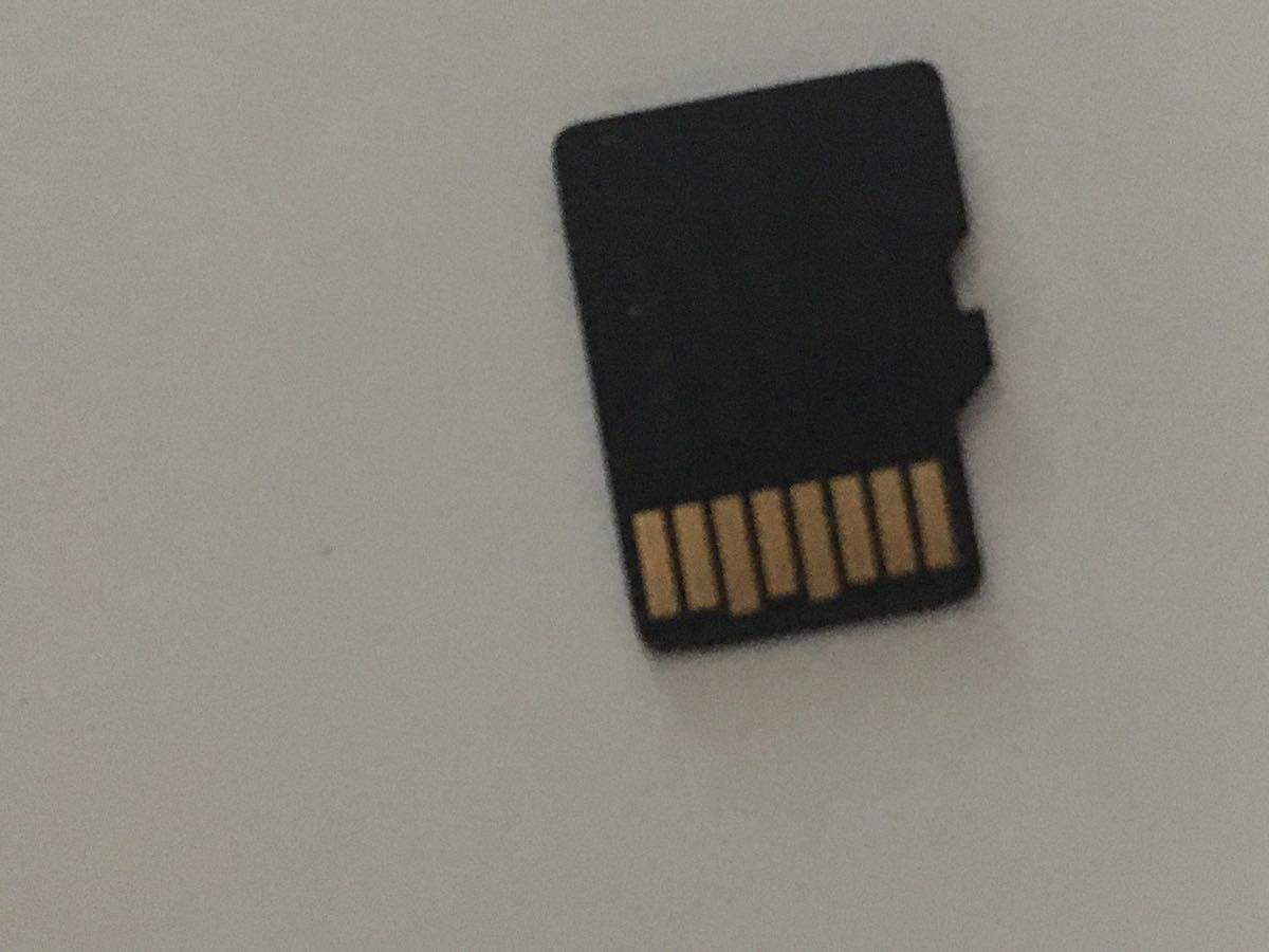 ブラウンMicro SDカード256GB マイクロSDカード microSDカード フォーマット済み SD micro