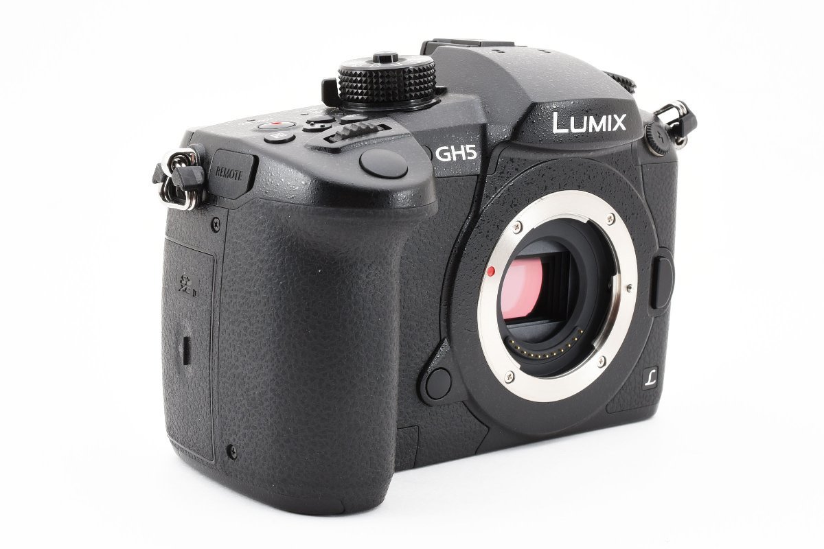 美品 箱付属品付き Panasonic パナソニック LUMIX GH5 ボディ_画像4