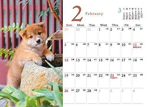 しばいぬカレンダー2023(卓上) ([カレンダー])_画像2