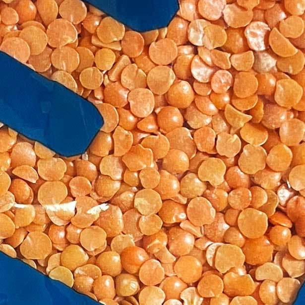 レンズ豆 180g ヒラマメ/マスールダールの挽き割り レッドレンティル（水で戻す必要なし）インド産 賞味期限2025.6.30の画像2