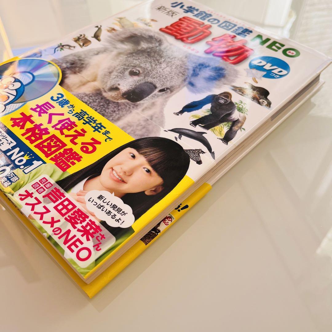 新版】小学館の図鑑NEO ネオ 動物 DVD付き|Yahoo!フリマ(旧 新版】小学館の図鑑NEO ネオ 動物 DVD付き|Yahoo!フリマ(旧