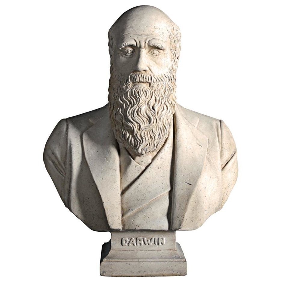 進化論のチャールズ・ダーウィン彫刻胸像 アンティーク風装飾 リビングインテリア彫像 書斎 研究室プレゼント贈り物 輸入品
