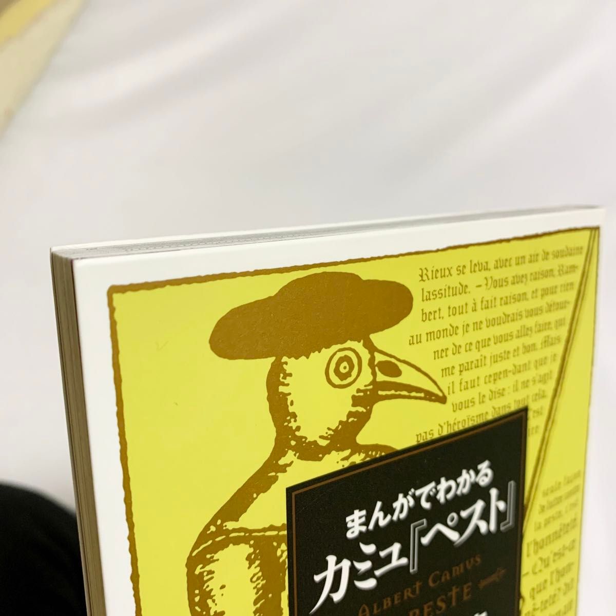 まんがでわかるカミュ『ペスト』 小川仁志／監修　前山三都里／まんが