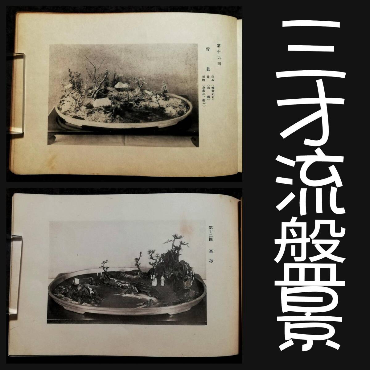 【開店記念セール!】 出羽国山上入道著 无明一巻之書(馬見立書) - 和書 - 和書 和書