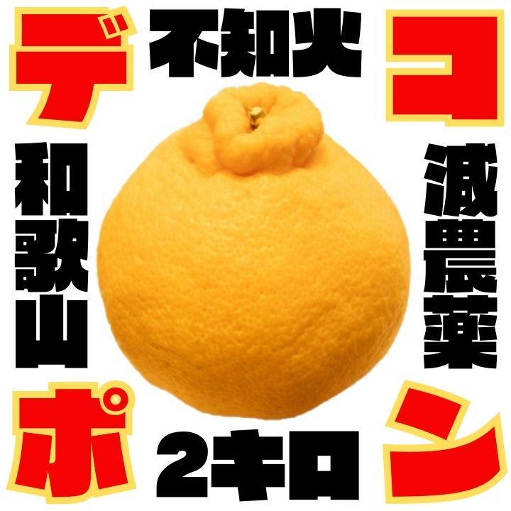 お試し デコポン(不知火) 訳あり 2kg 和歌山 甘くておいしい 旬 みかん_画像1