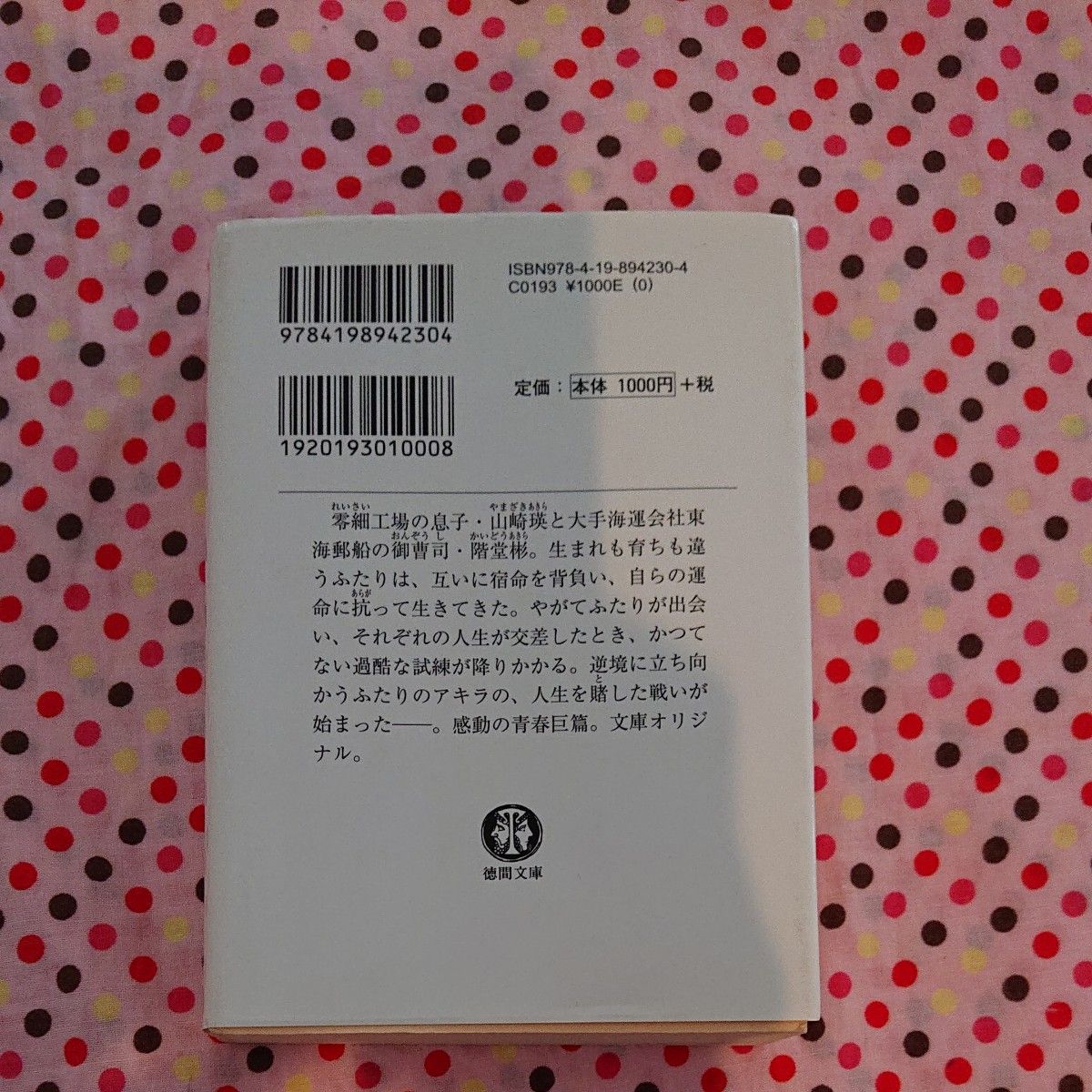 アキラとあきら （徳間文庫　い４９－２） 池井戸潤／著