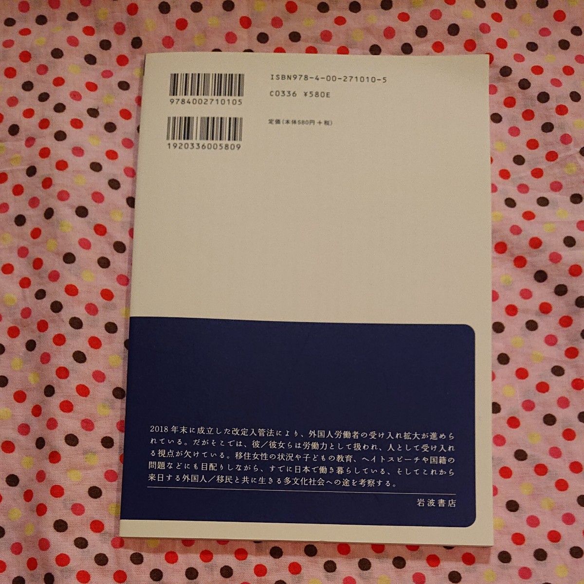 外国人労働者受け入れを問う （岩波ブックレット　Ｎｏ．１０１０） （新版） 宮島喬／著　鈴木江理子／著