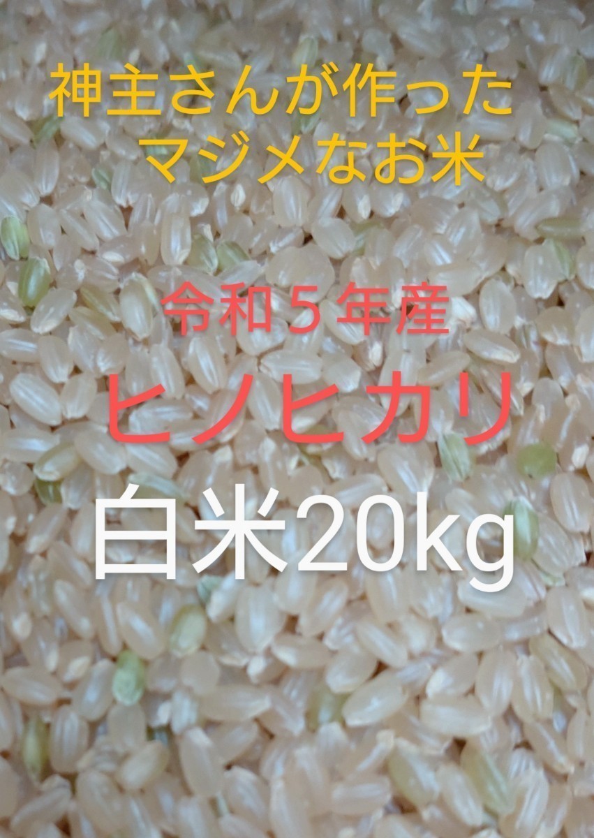 神主さんのマジメなお米　R5年広島県産　ヒノヒカリ　白米　20kg　わが家の田んぼにはメダカやドジョウがたくさん　コウノトリも時々来ます_画像1