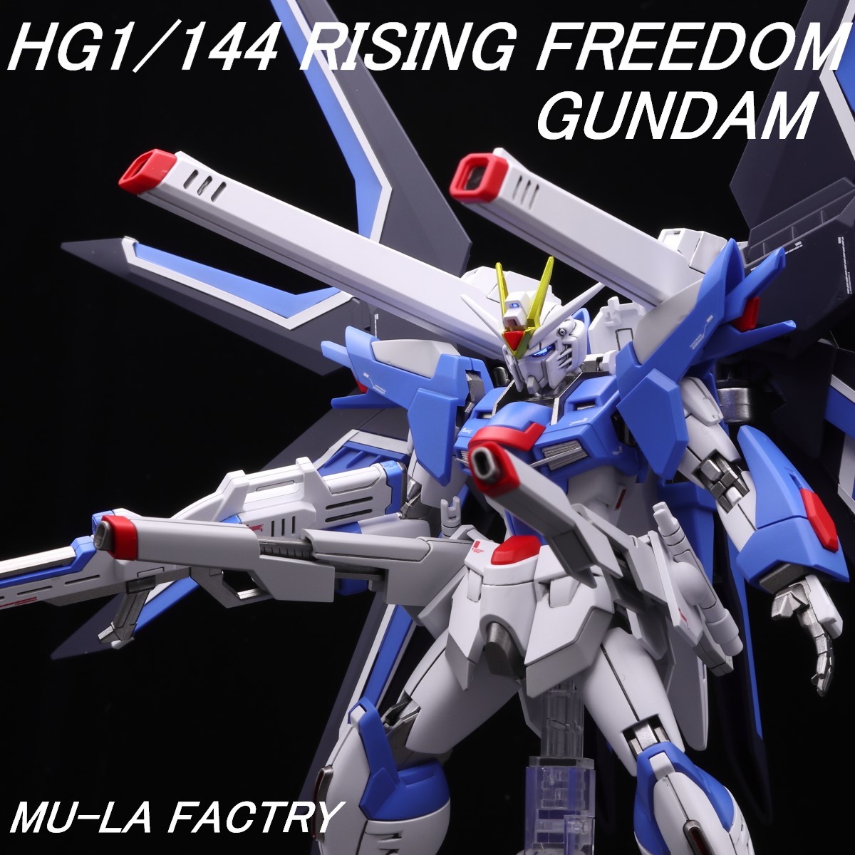 HG 1/144 ライジングフリーダムガンダム メタリックフレーム HG 1/144 ライジングフリーダムガンダム メタリックフレーム