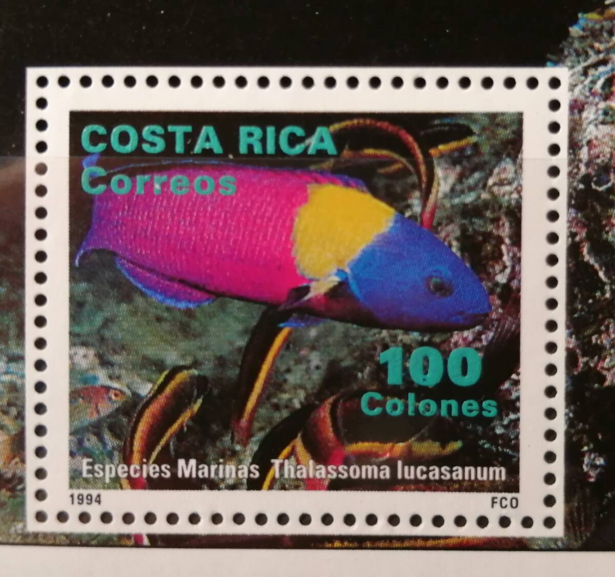 コスタリカ 魚(1種小型シート) MNH_画像2