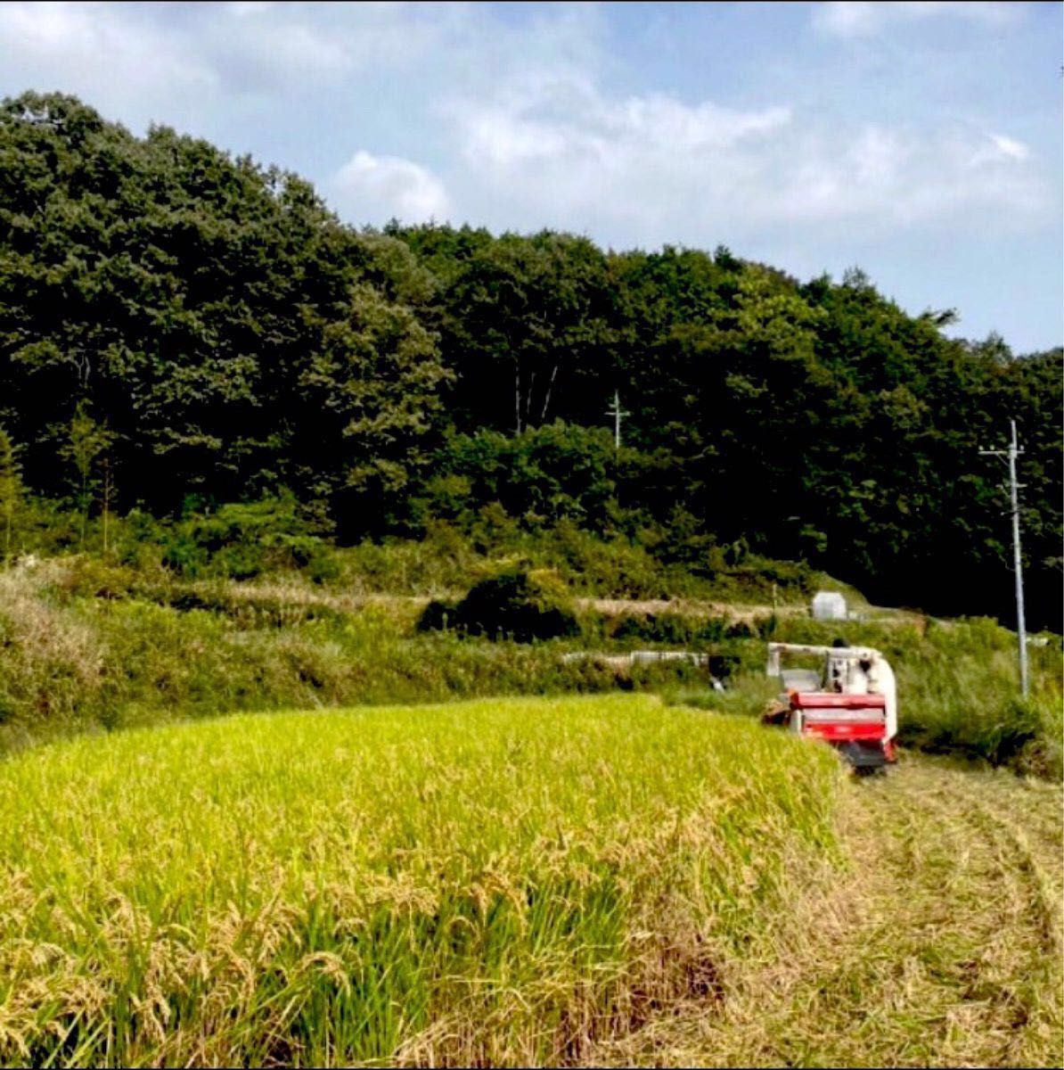 新米キャンペーン今週限定価格【生産者直送】令和5年度岡山県産ヒノヒカリ玄米10kg白米も可能です