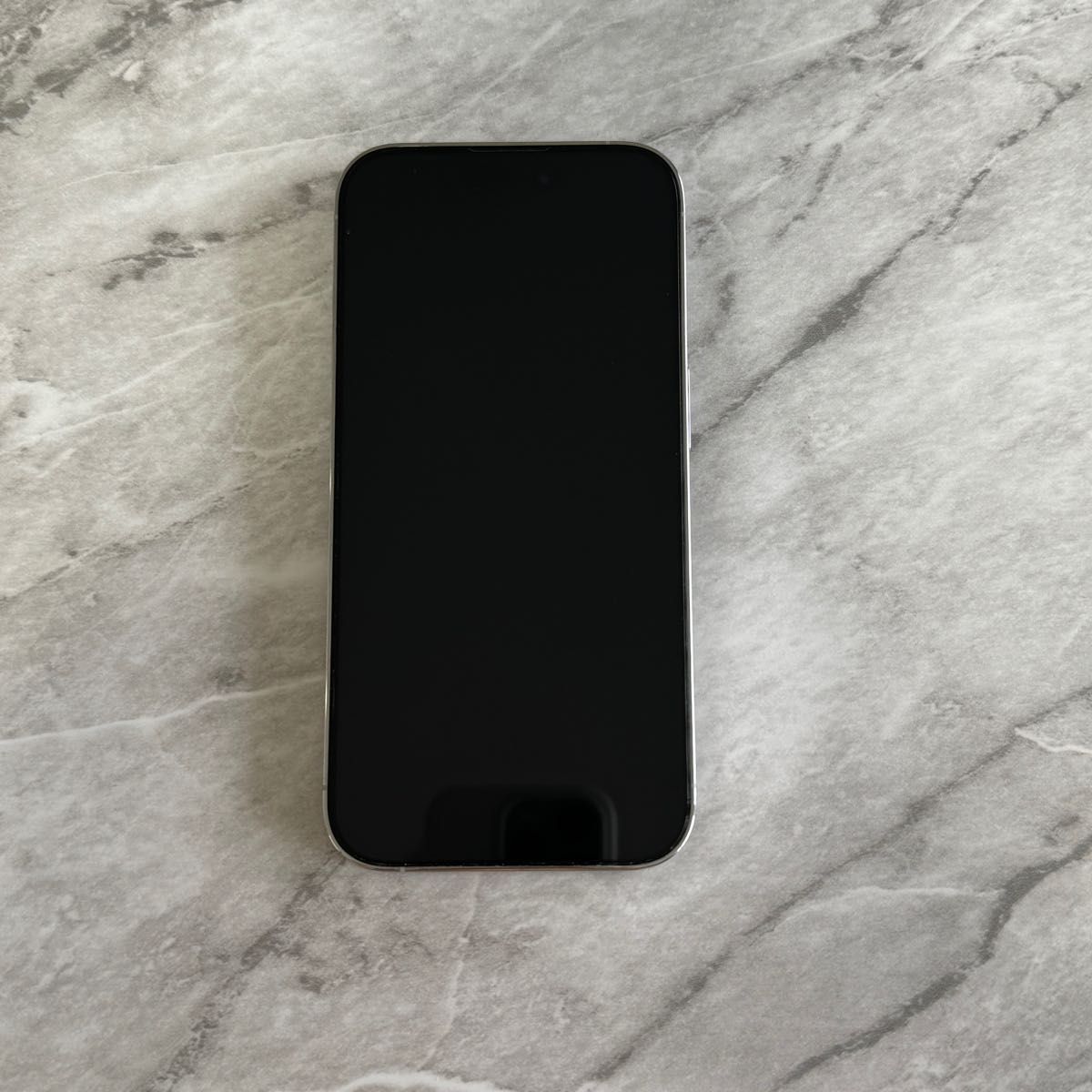 定価194 800円】iPhone 14 Pro 512GB シルバー【使用期間1年 定価194 800円】iPhone 14 Pro 512GB シルバー【使用期間1年