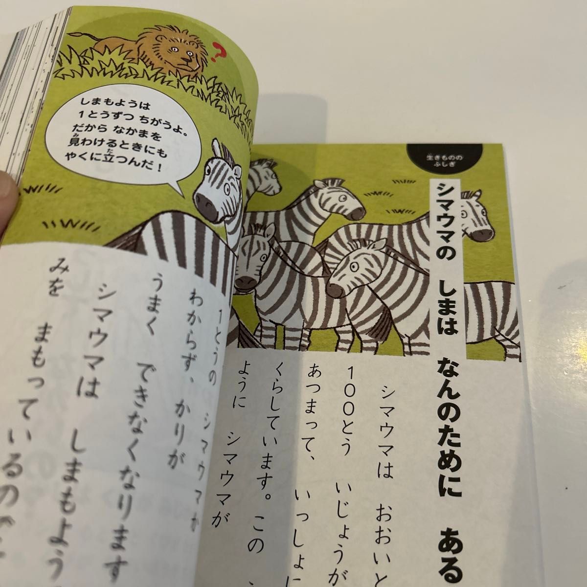 なぜ？どうして？たのしい！かがくのふしぎ１年生 （たのしい！かがくのふしぎ） 村山哲哉／監修　新一年生におすすめ！