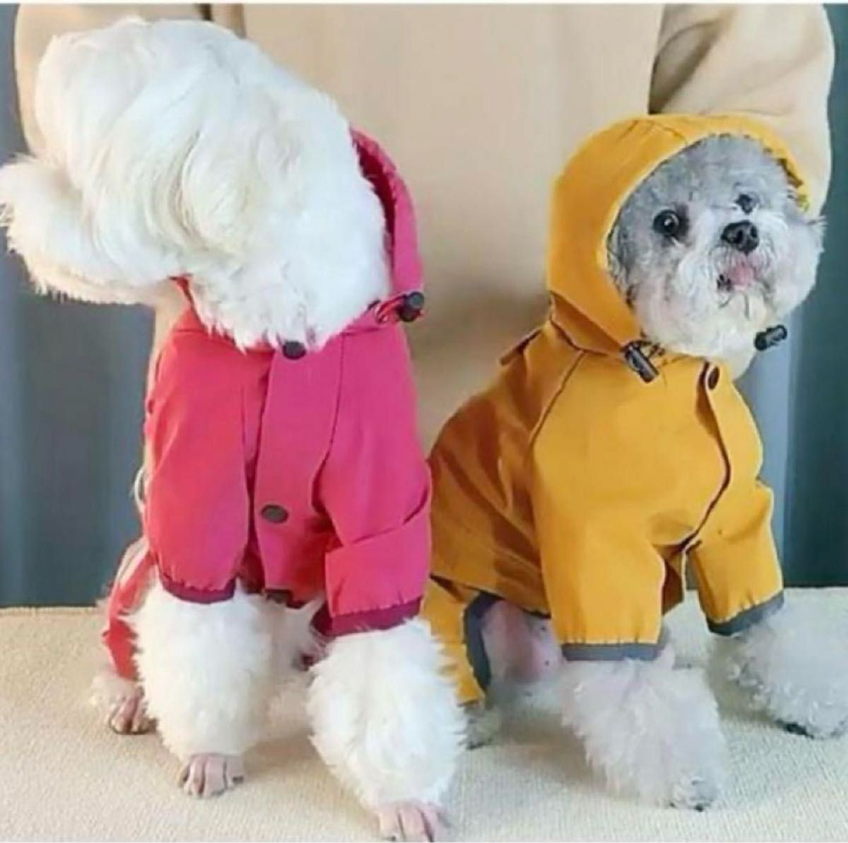 犬 レインコート フード付　ペット用 小型犬 中型犬  お散歩　ヤマブキ色 XL 犬服 ペット服