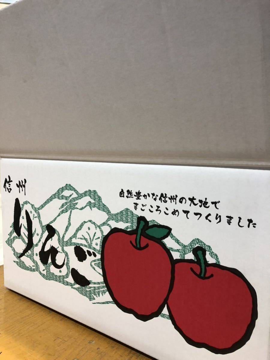 長野県産　りんご　サンふじ 大玉　22玉　約10キロ　家庭用　1_画像3