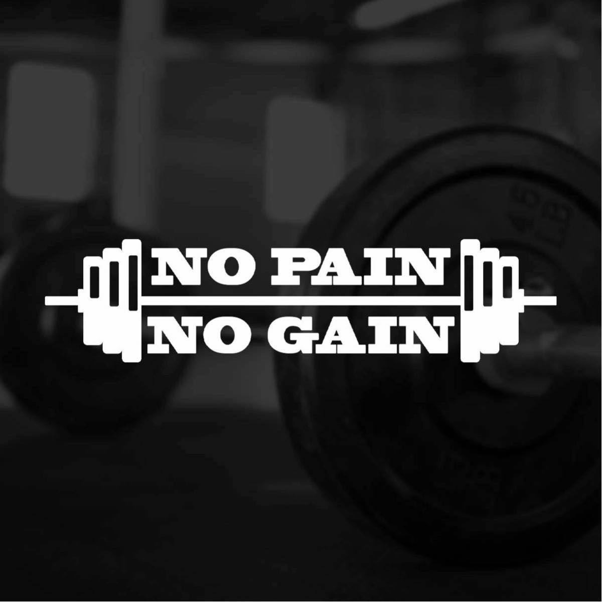 【カッティングステッカー】NO PAIN NO GAIN ノーペインノーゲイン バーベルデザイン 筋肉 gym ジム 筋トレ トレーニー ボディービルの画像1