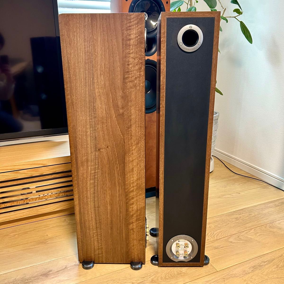 美品】MONITOR AUDIO Bronze BR5 モニターオーディオ|Yahoo 美品】MONITOR AUDIO Bronze BR5 モニターオーディオ|Yahoo