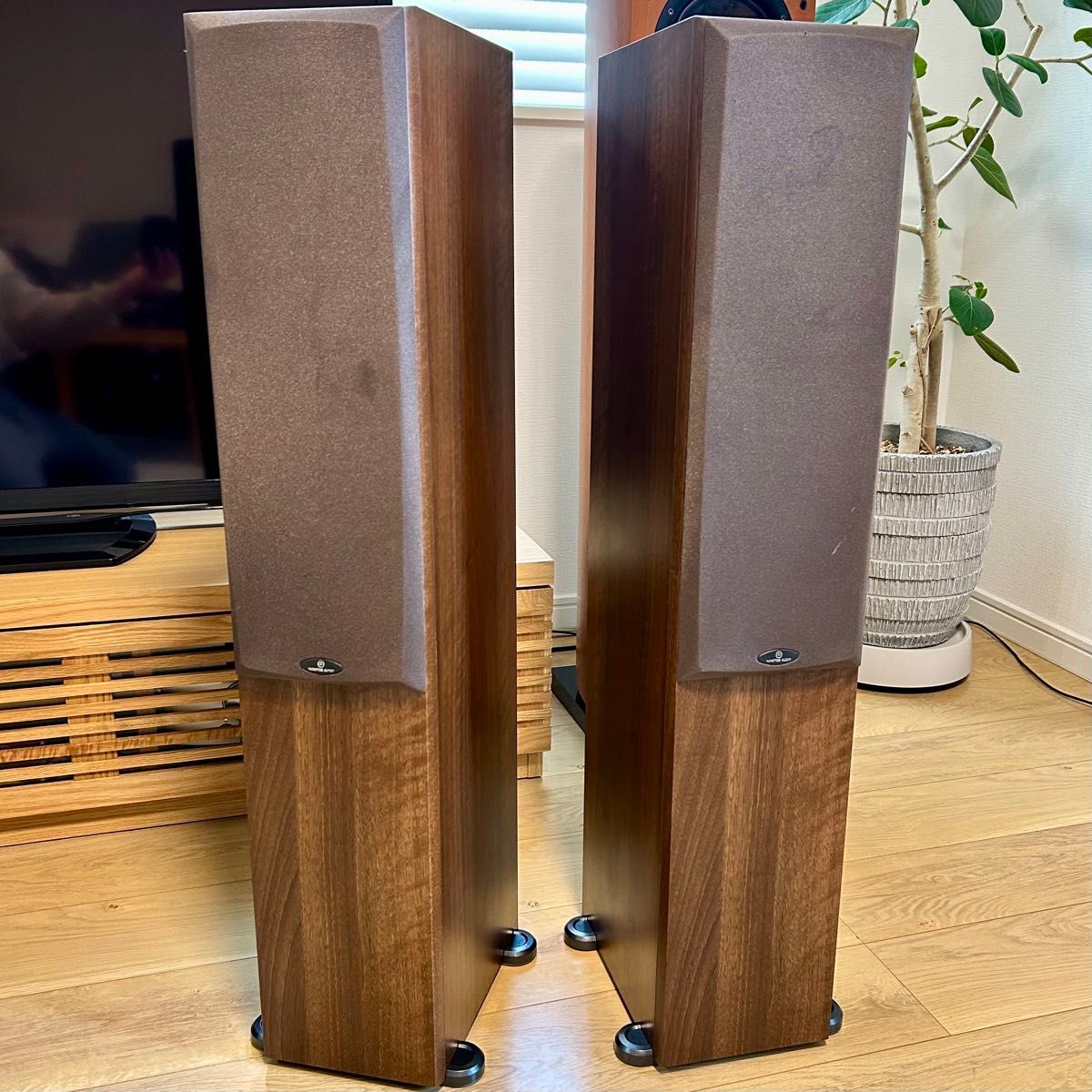 美品】MONITOR AUDIO Bronze BR5 モニターオーディオ|Yahoo 美品】MONITOR AUDIO Bronze BR5 モニターオーディオ|Yahoo
