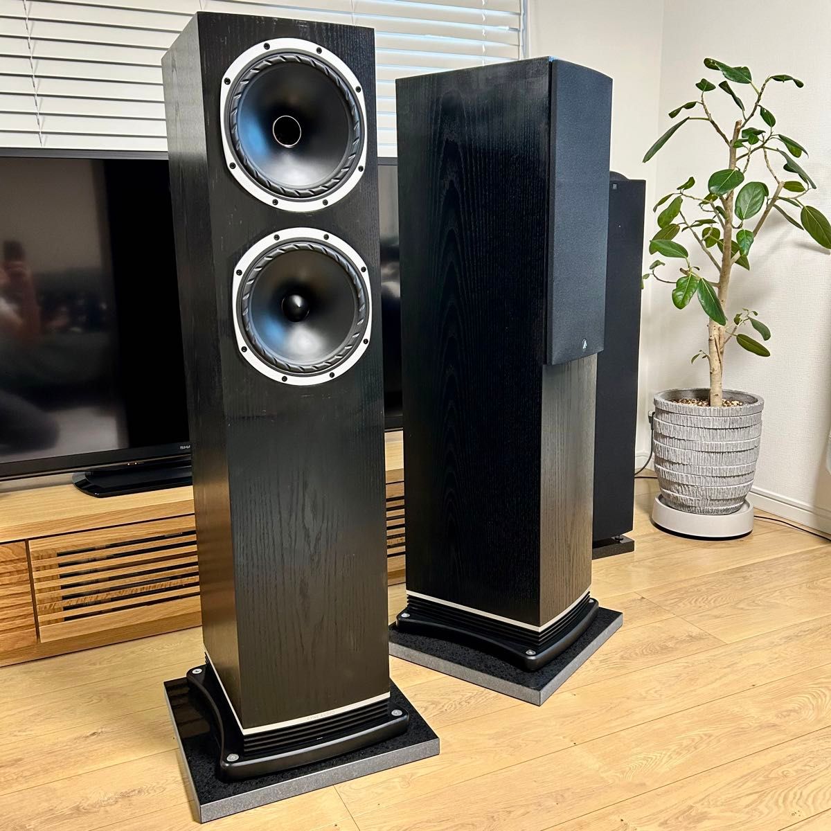 FYNE AUDIO F502 BOファインオーディオ ブラックオーク 1本 FYNE AUDIO F502 BOファインオーディオ ブラックオーク 1本