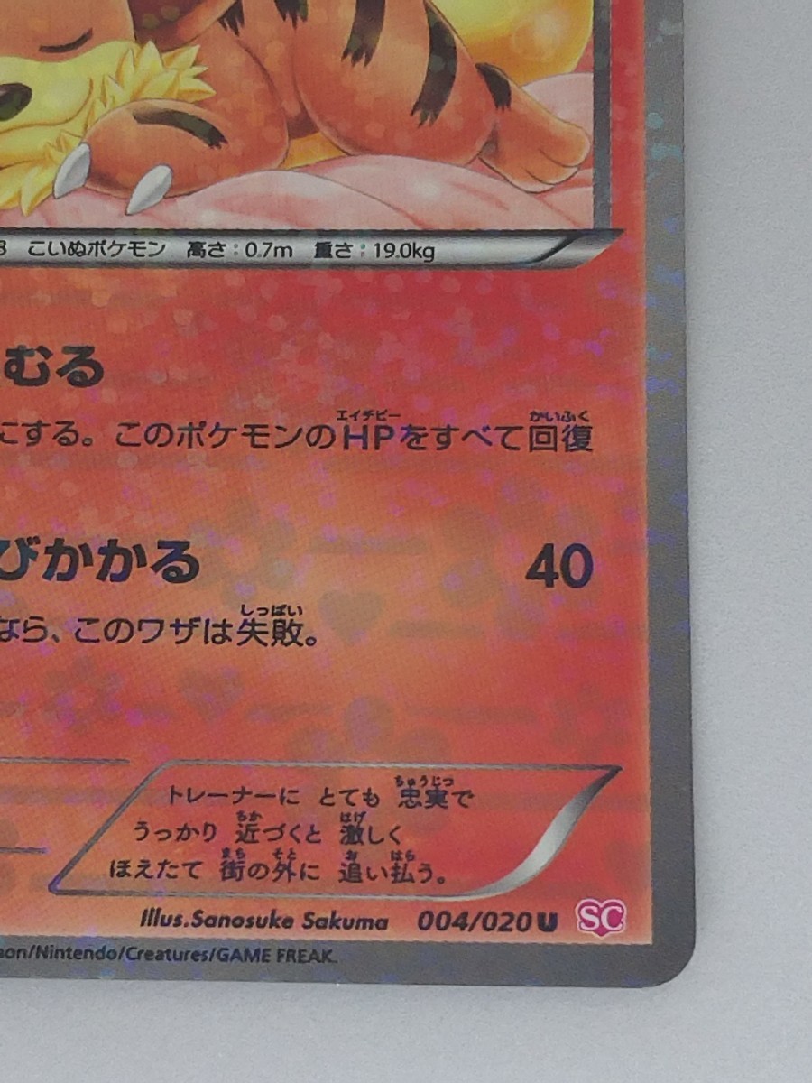 ガーディ BW SC シャイニーコレクション 004 1ED キラ ポケモンカード Shiny Collection Holo Cards
