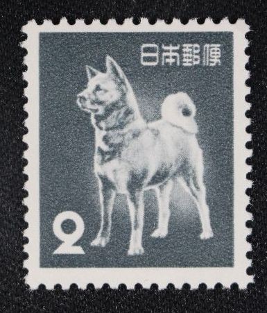 ☆コレクターの出品 第２次動植物国宝切手『秋田犬』２円 ＮＨ美品 G-62_画像1