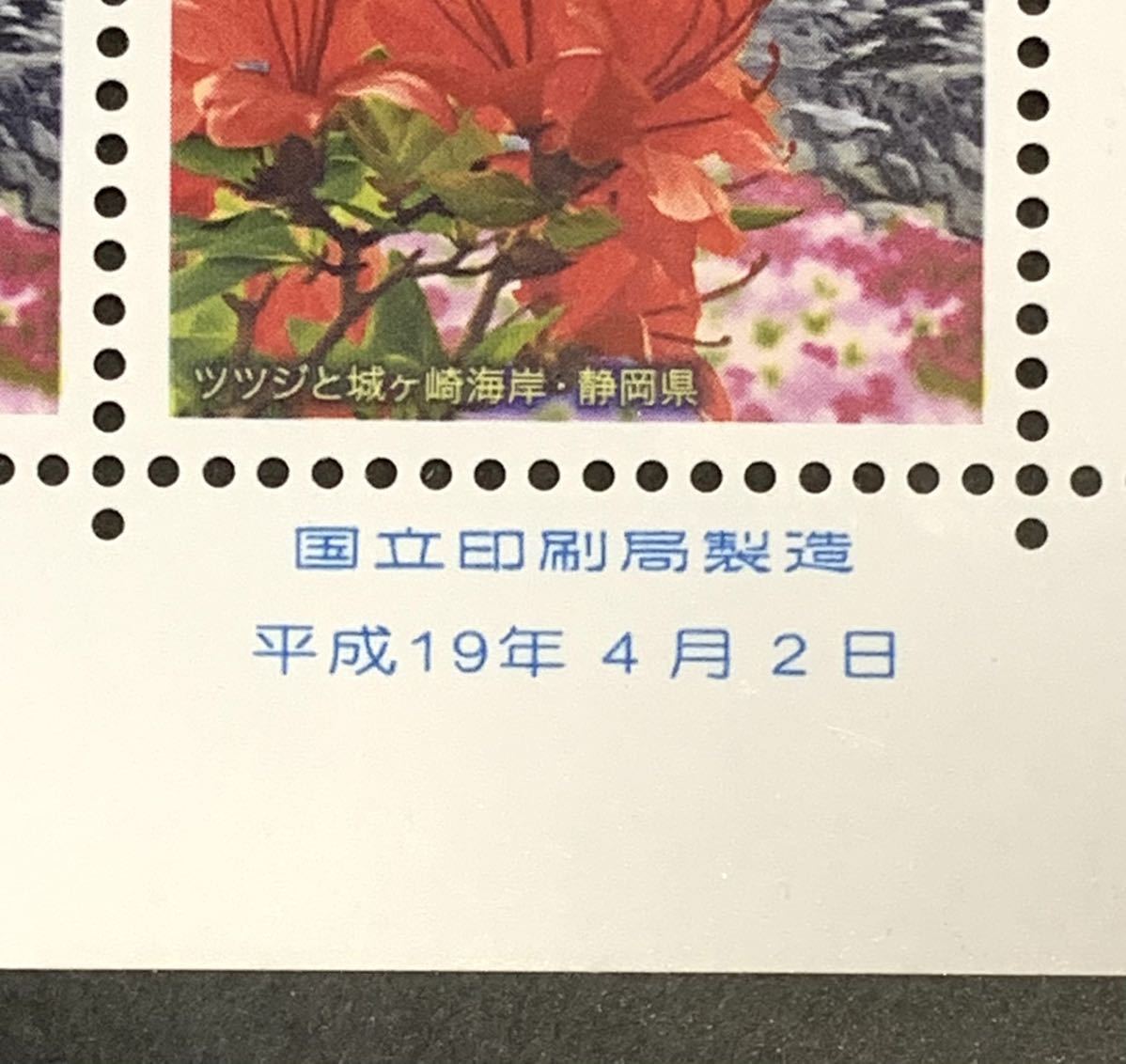 ●【新品】【未使用】切手シート　東海の花と風景　東海-39 1シート（80円x10枚）　匿名配送_画像5