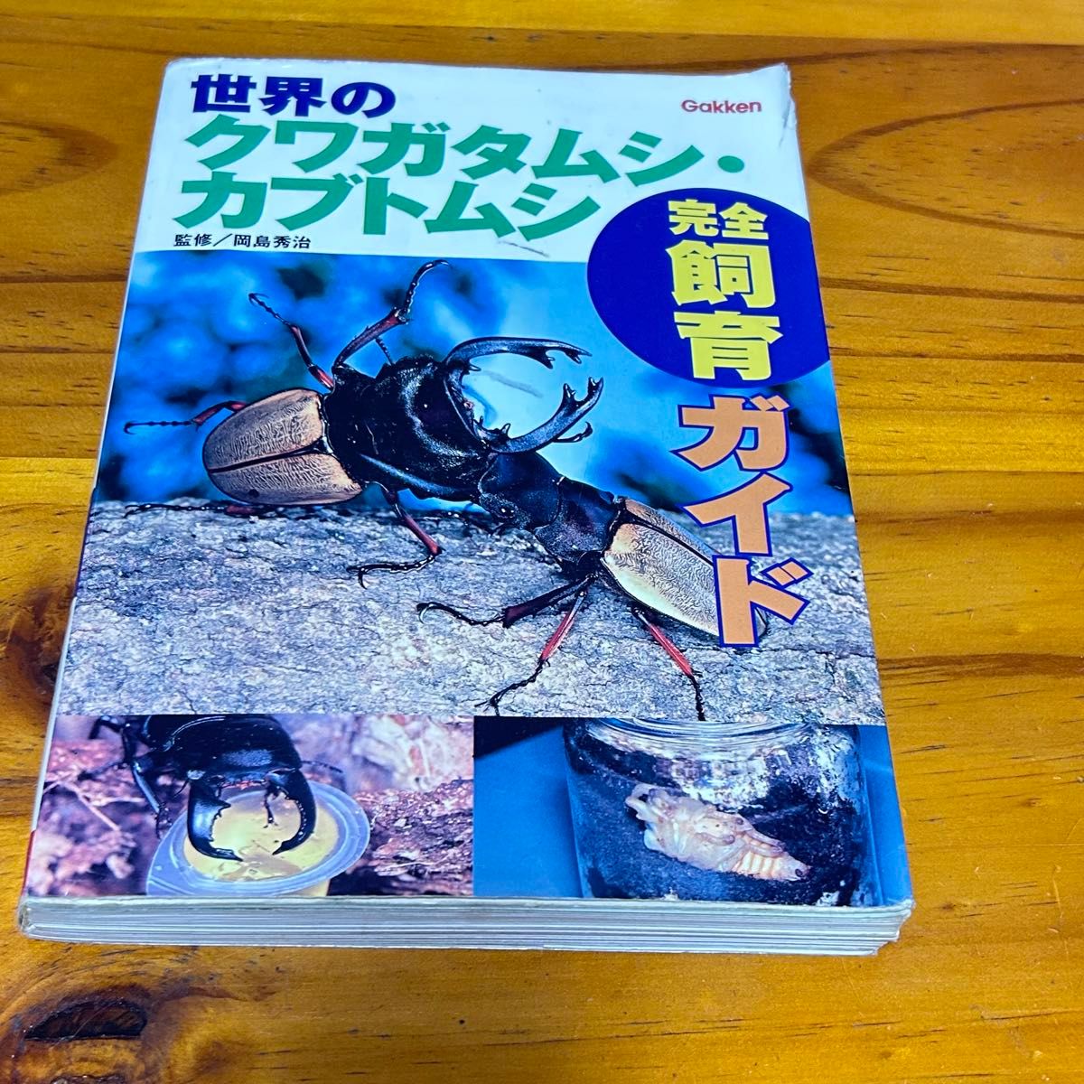 世界のクワガタムシ・カブトムシ　完全飼育ガイド