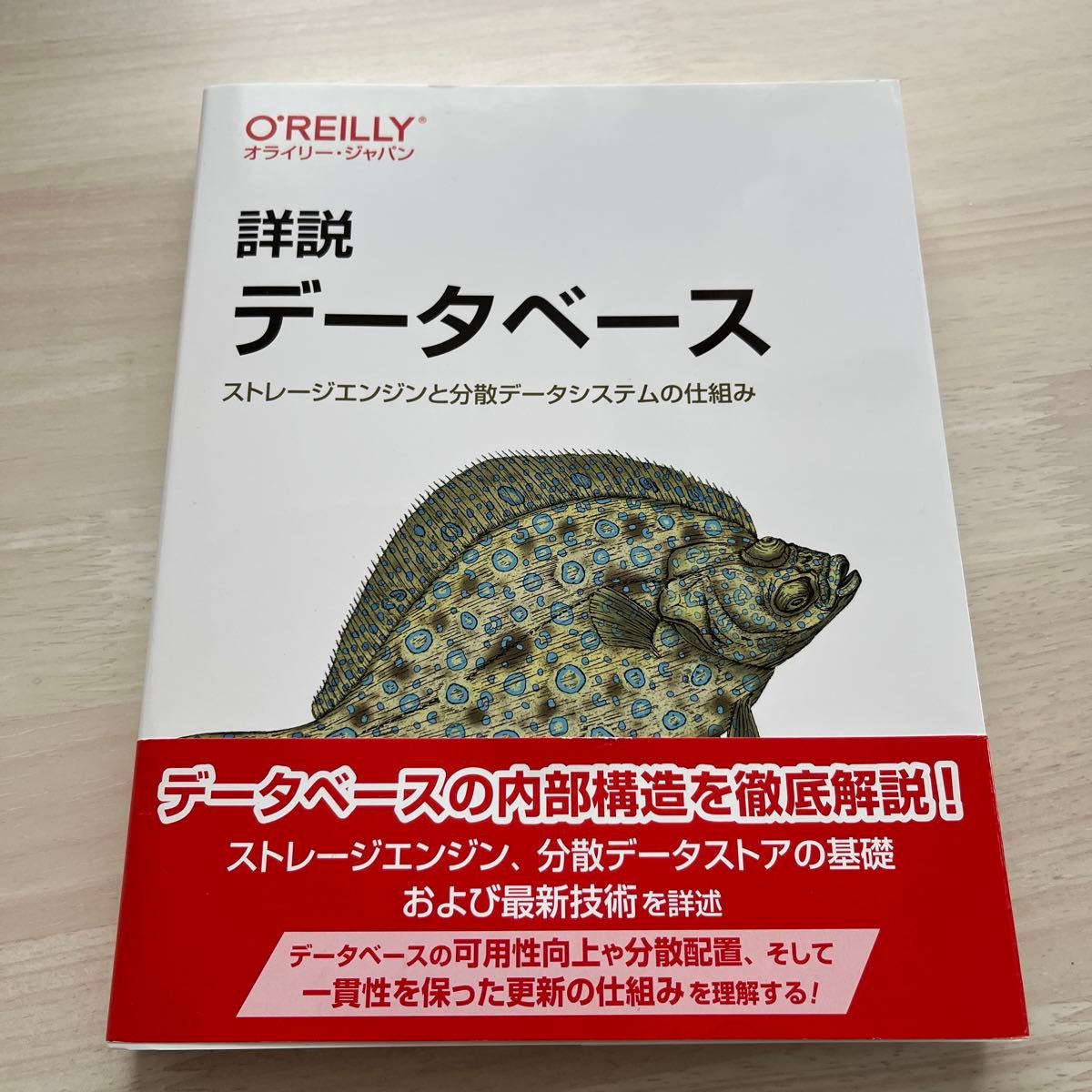 詳説データベース　ストレージエンジンと分散データシステムの仕組み Ａｌｅｘ　Ｐｅｔｒｏｖ／著　小林隆浩／監訳　成田昇司／訳