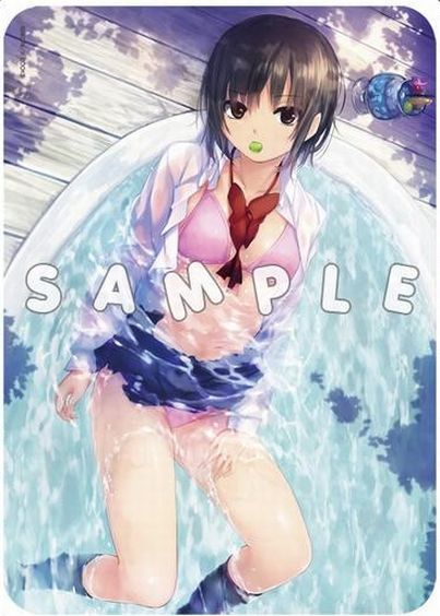 たぬき 希少 珈琲貴族 K-BOOKS ロイヤルマウンテン ブランケット 青山澄香 その他