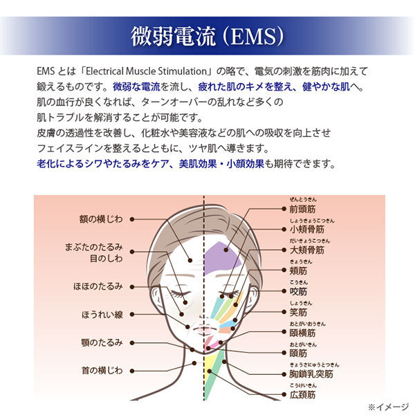 【WJ16S】美顔器 顔と首両用　3つモード　温感 フェイシャル トリートメント リフトアップ　たるみ対策　EMS微電流　光エステ　イオン導入_画像6