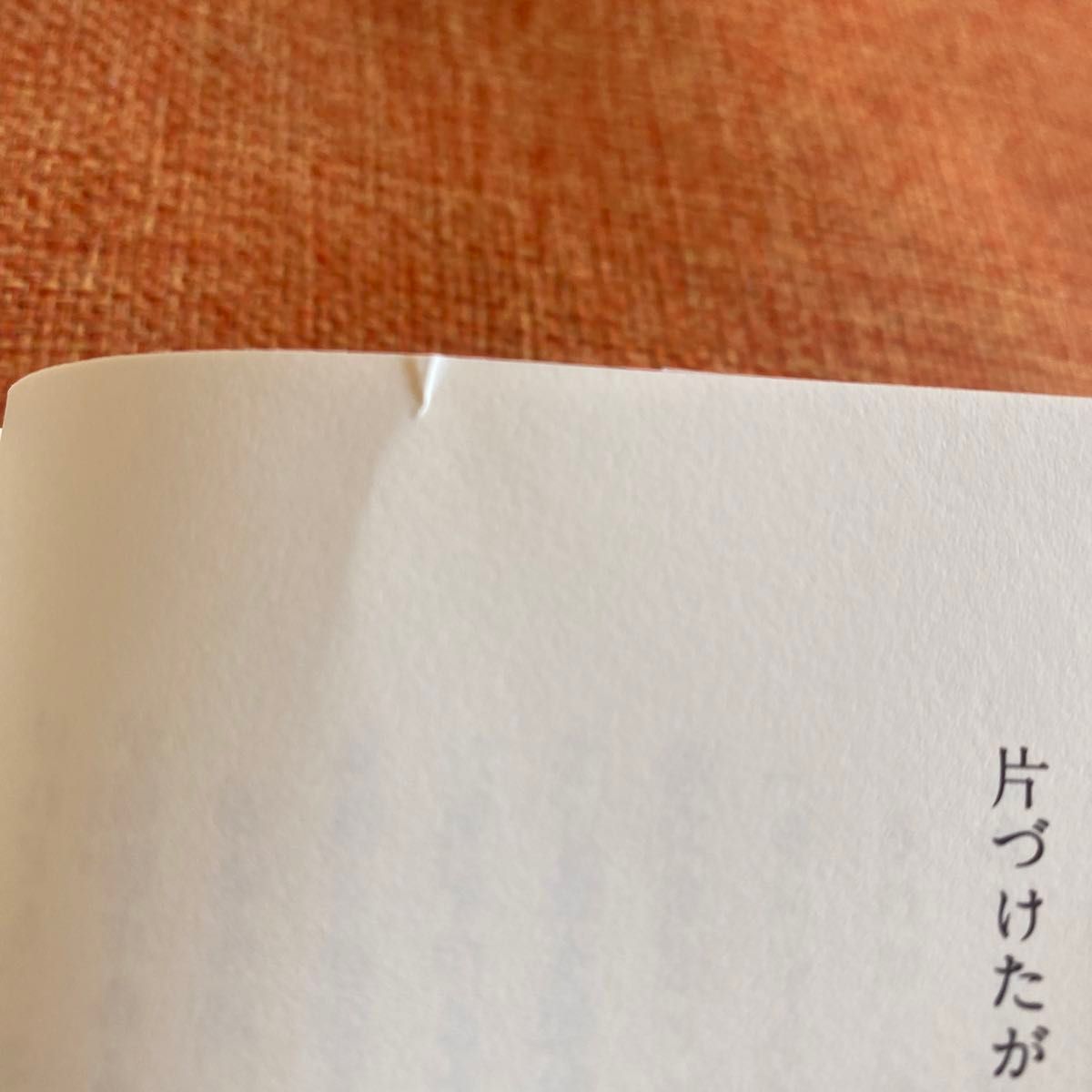 片づけたがり　整理のコツは持たないこと （ＯＲＡＮＧＥ　ＰＡＧＥ　ＢＯＯＫＳ　山本さんの愉快な家事手帖　３） 山本ふみこ／著