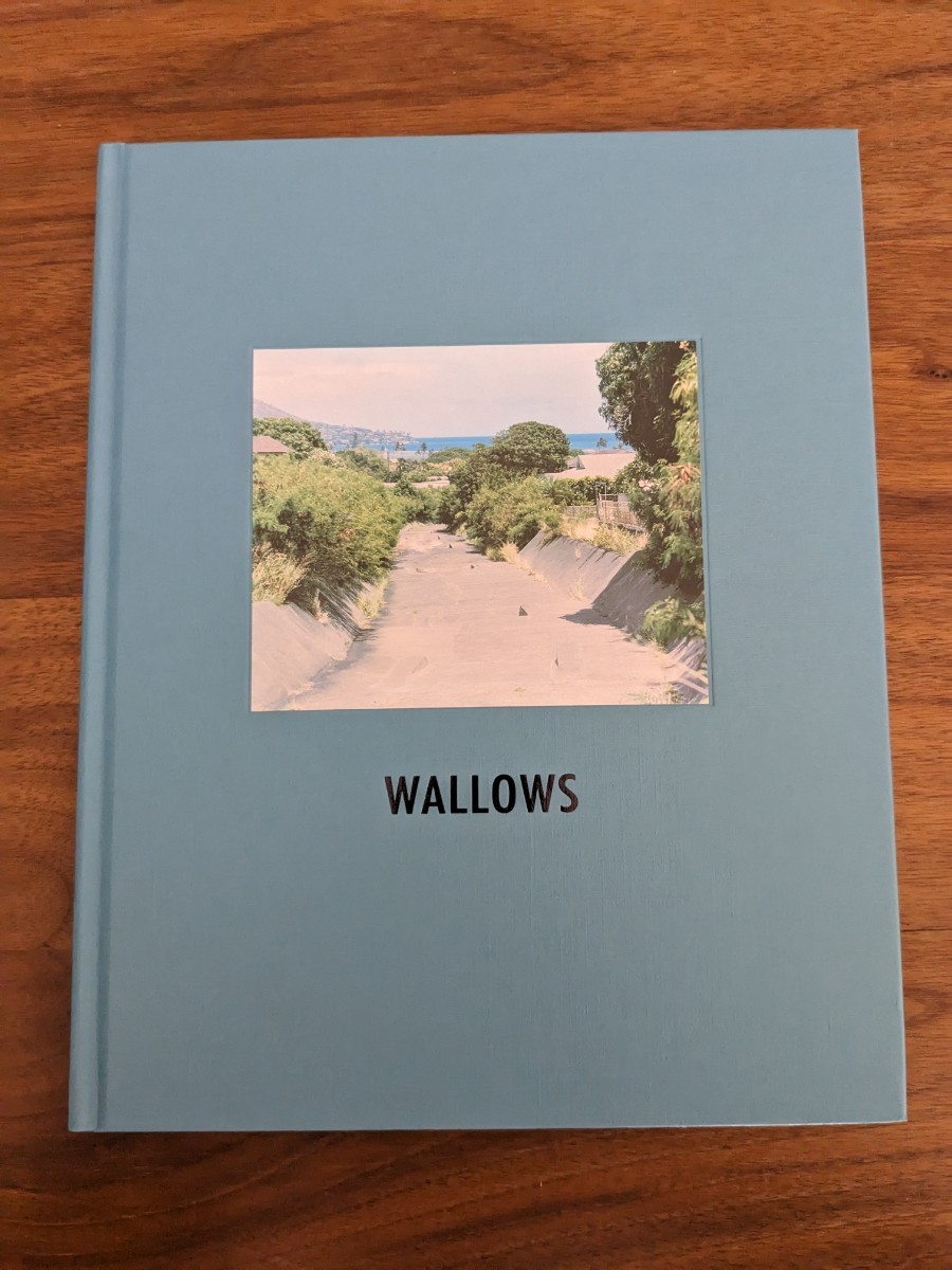 平野太呂 写真集 I HAVEN'T SEEN HIM / WALLOWS 写真集 taro hirano_画像1