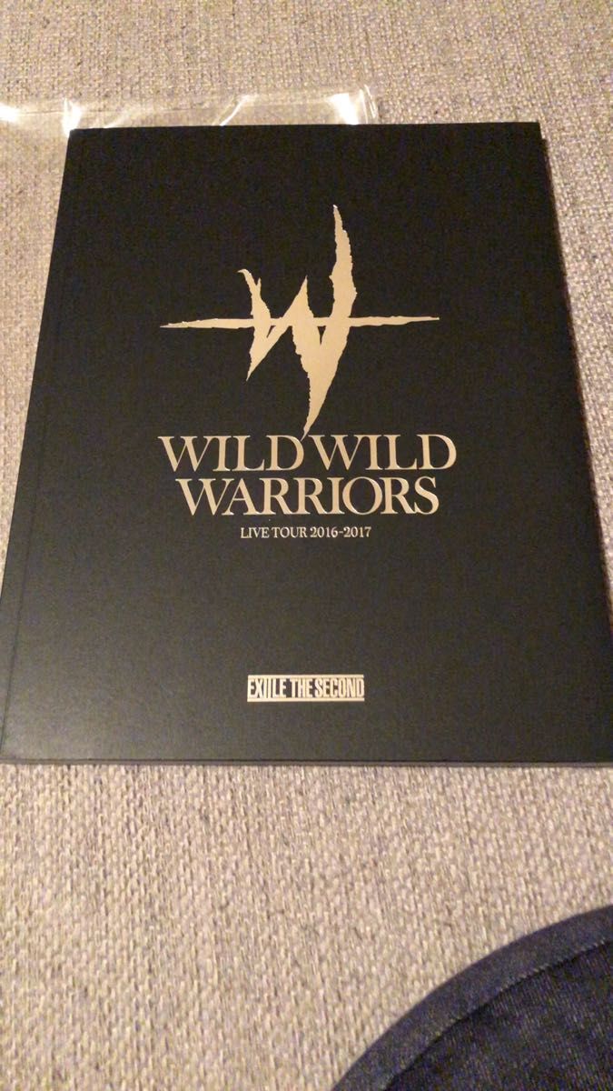 EXILE THE SECOND WILD WILD WARRIORS ツアーパンフレット