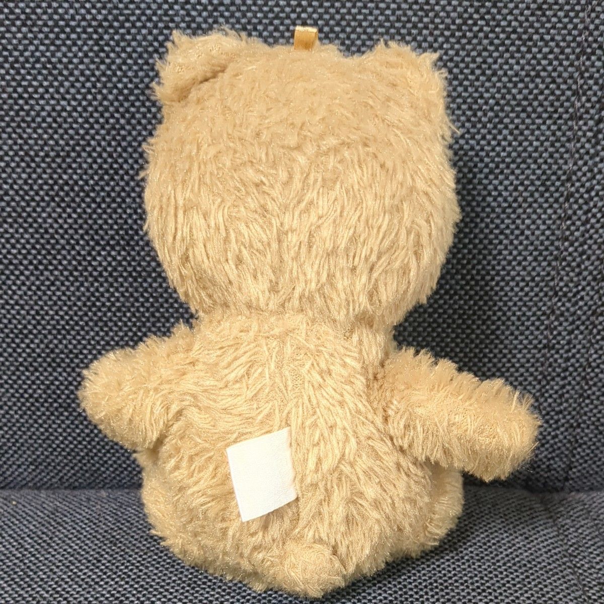 TED  ぬいぐるみ  クマ テディベア