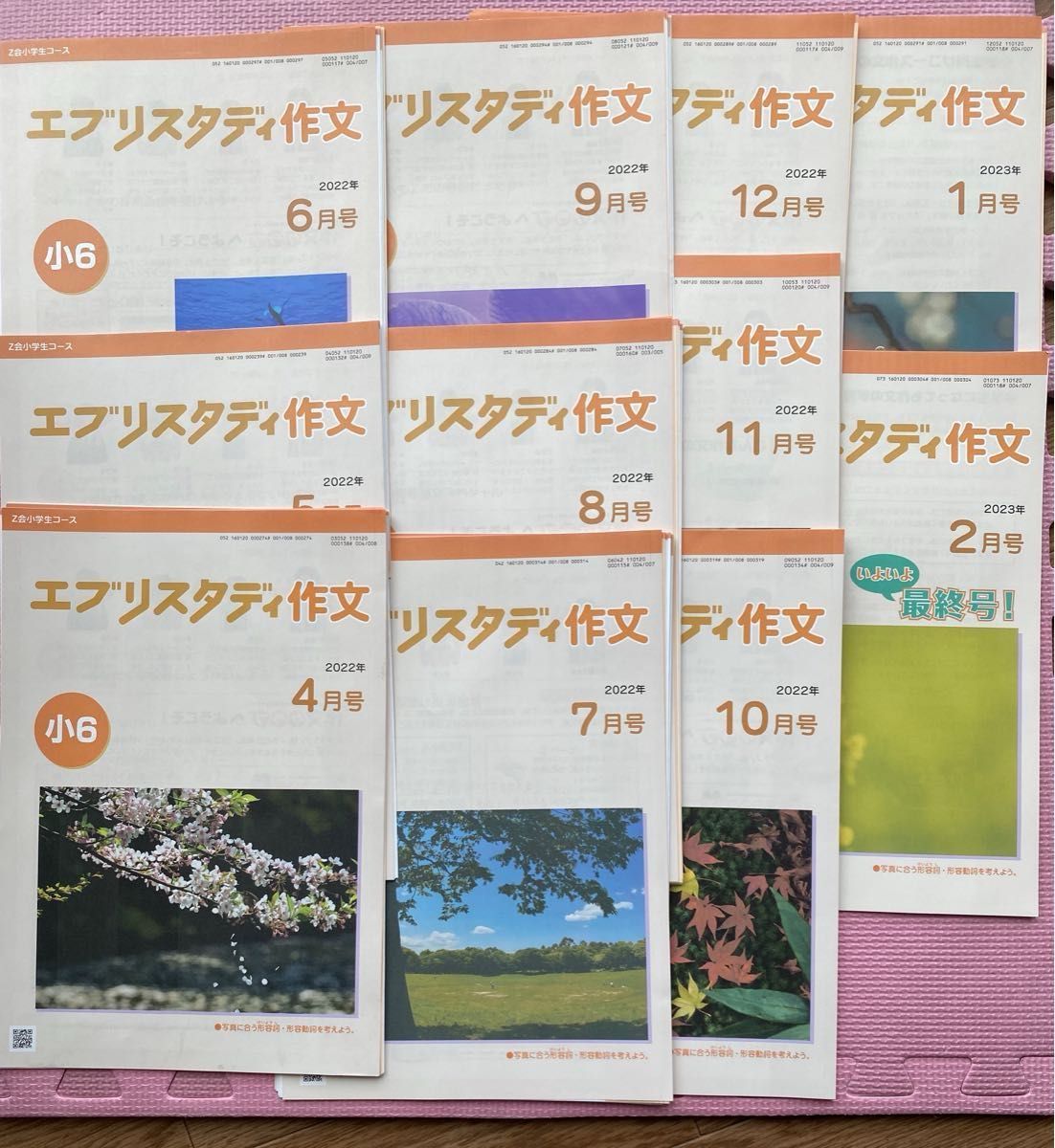 未記入美品 Z会小学校6年生 ・エブリスタディ作文 教材+答え 未記入美品 Z会小学校6年生 ・エブリスタディ作文 教材+答え