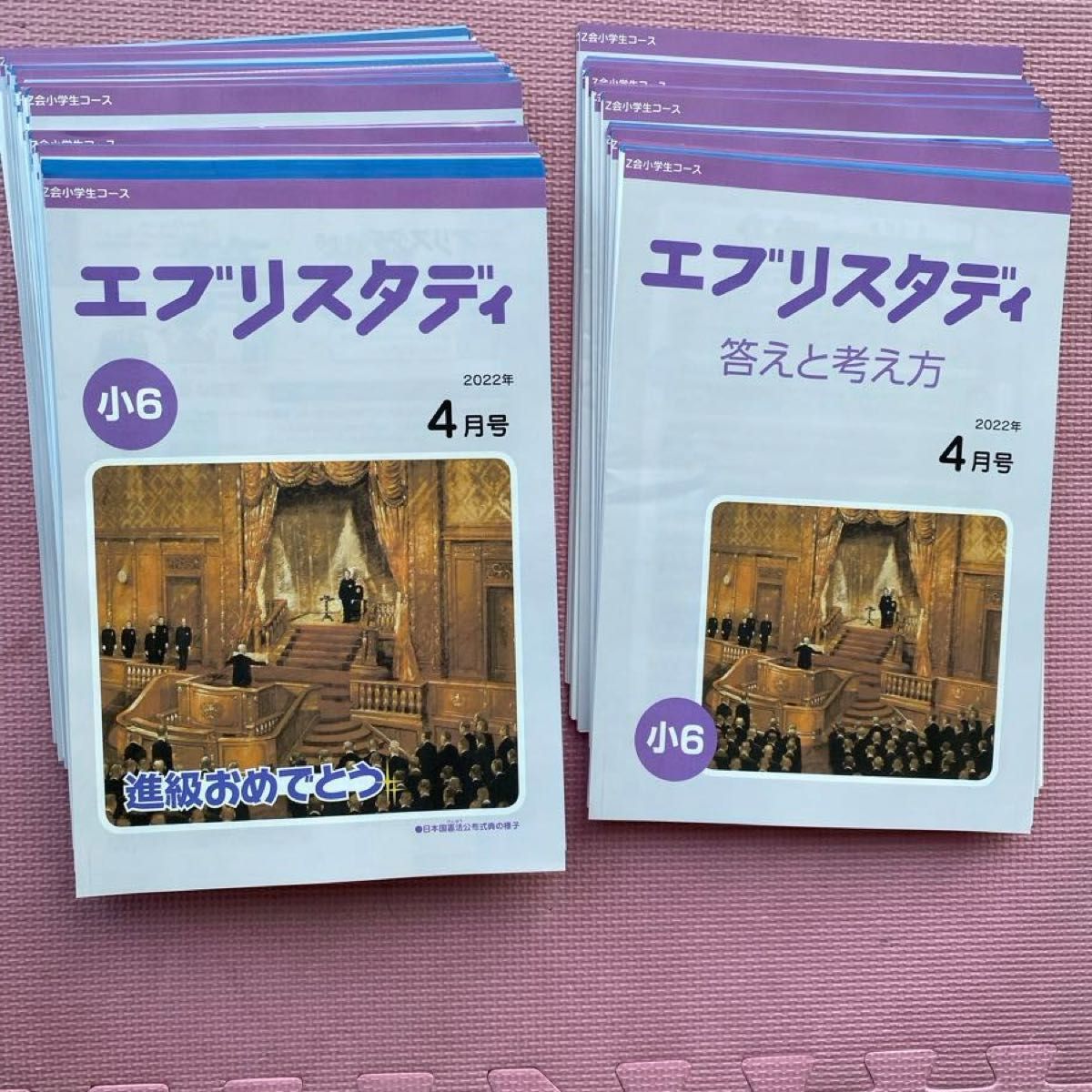 未記入美品 Ｚ会小学校教材　６年生国語・算数　エブリスタディ  1年分（1１か月分）