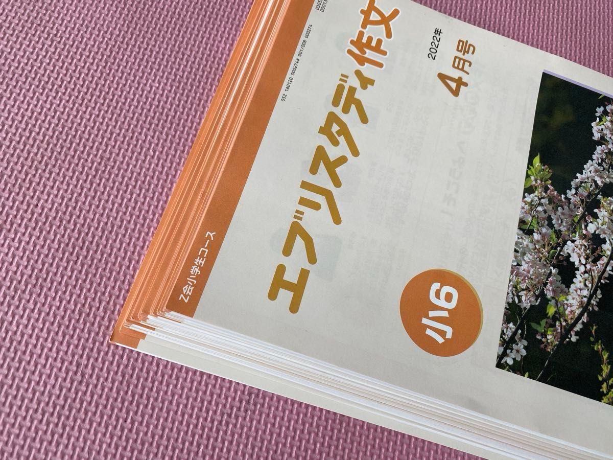 未記入美品 Z会小学校6年生 ・エブリスタディ作文 教材+答え 未記入美品 Z会小学校6年生 ・エブリスタディ作文 教材+答え