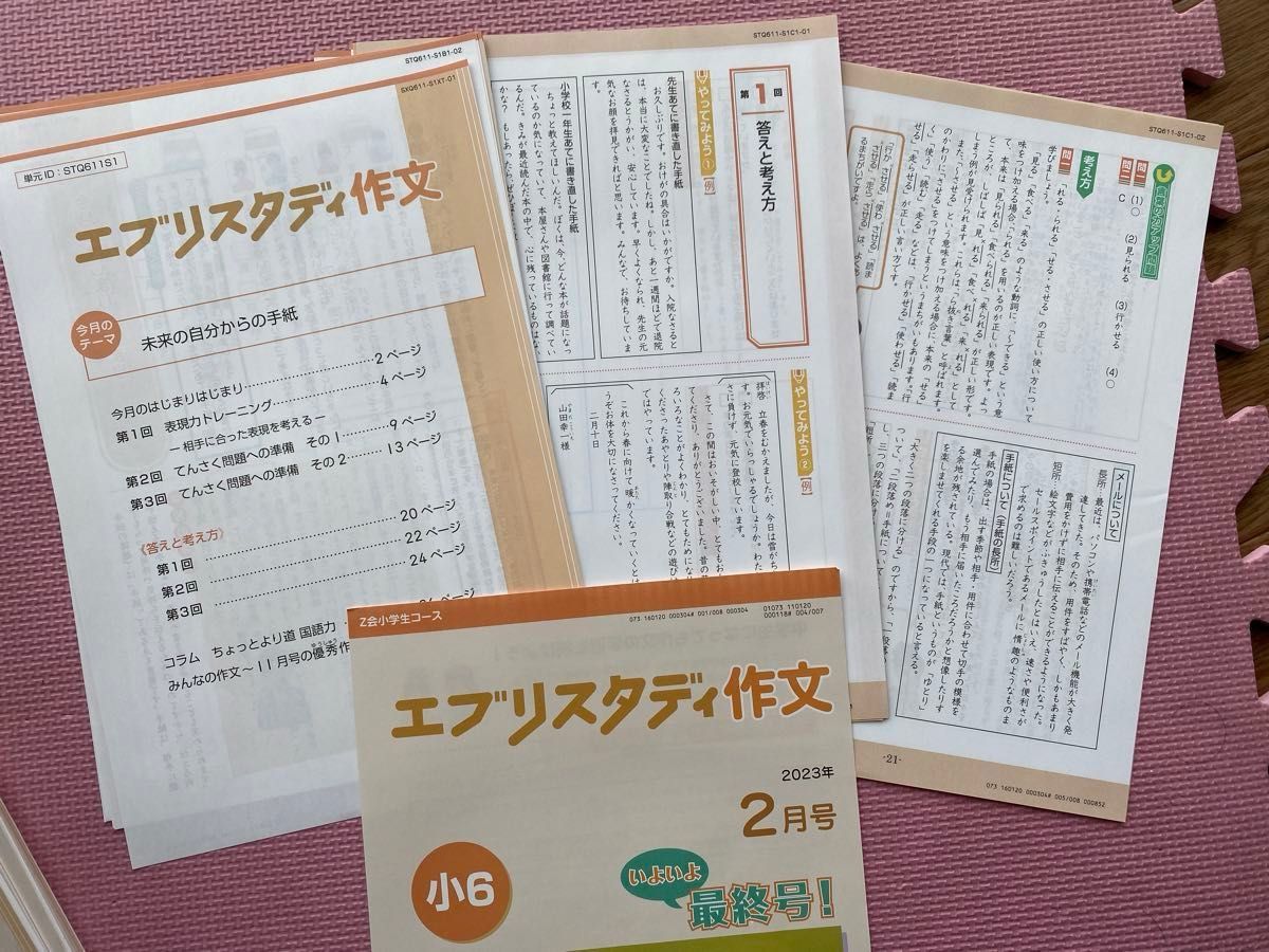 未記入美品 Z会小学校6年生 ・エブリスタディ作文 教材+答え 未記入美品 Z会小学校6年生 ・エブリスタディ作文 教材+答え