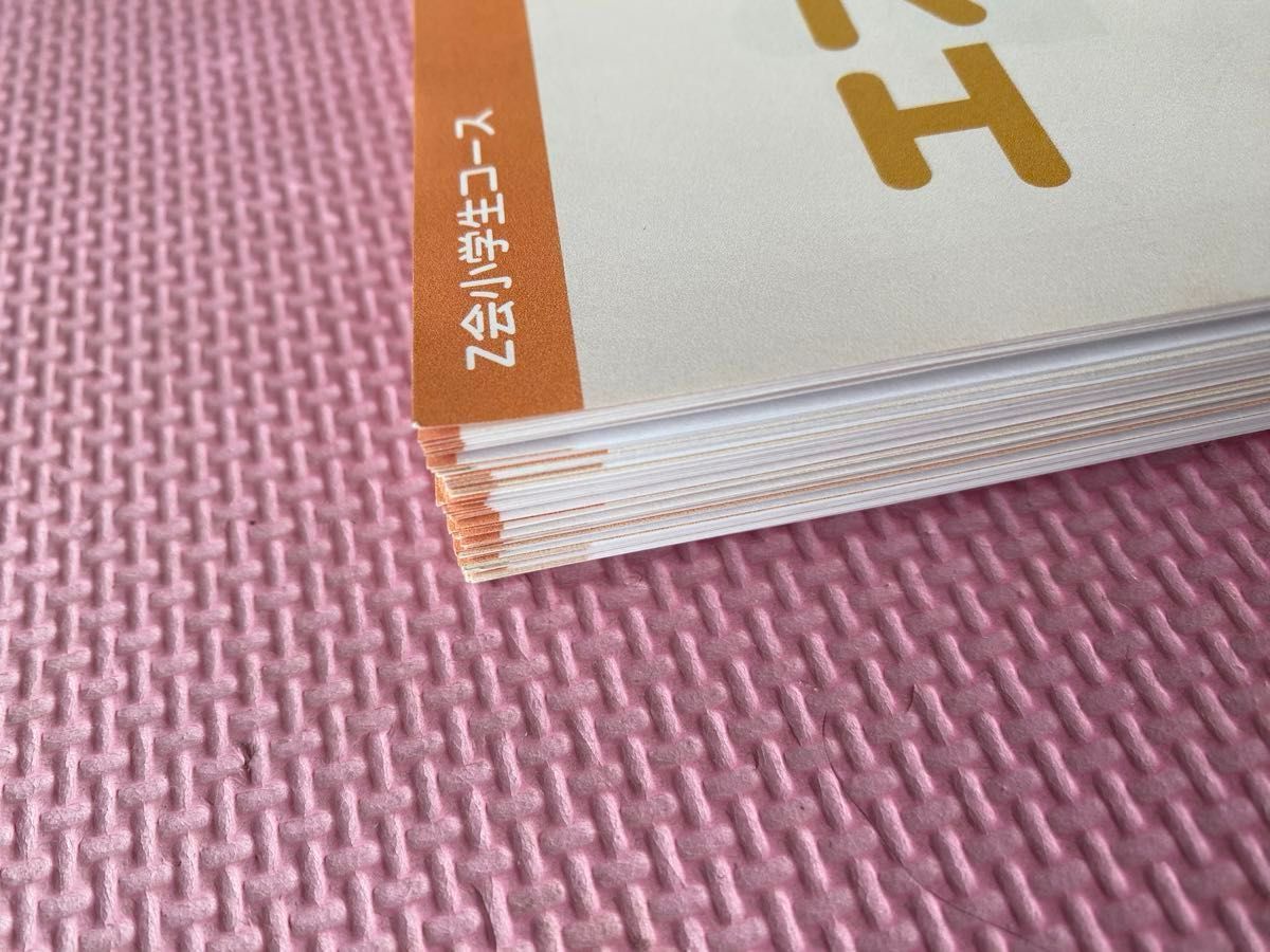 未記入美品 Z会小学校6年生 ・エブリスタディ作文 教材+答え 未記入美品 Z会小学校6年生 ・エブリスタディ作文 教材+答え