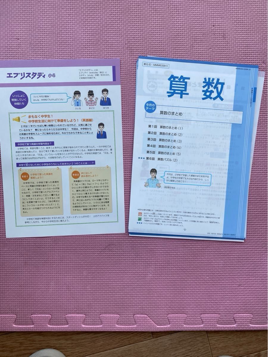 未記入美品 Ｚ会小学校教材　６年生国語・算数　エブリスタディ  1年分（1１か月分）