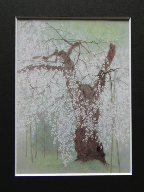  Watanabe confidence .,[ 9 -ply Sakura ], rare frame for book of paintings in print .., beautiful goods, new goods frame attaching, interior, spring, Sakura 