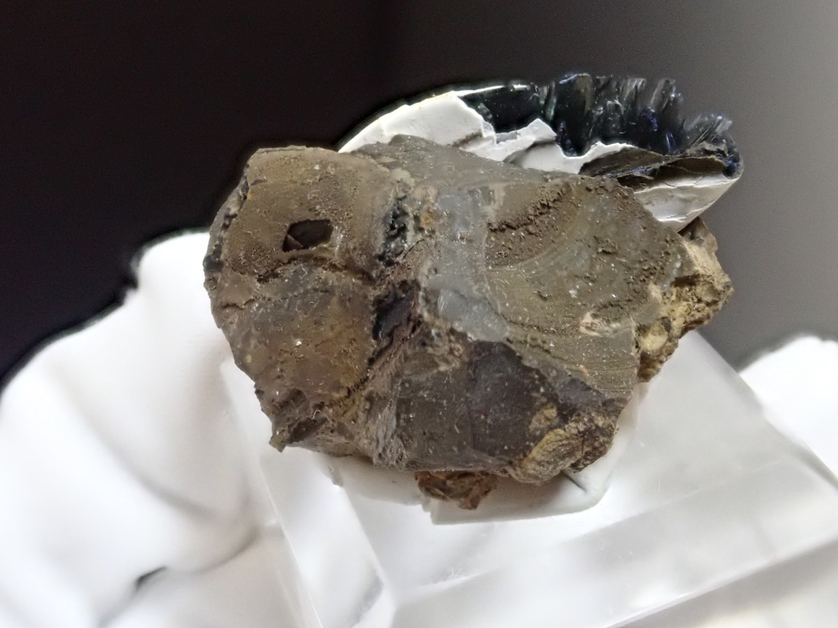 【希少な貝化石に結晶】ヴィヴィアナイト　onシェルフォッシル　藍鉄鉱on貝化石　原石　標本_画像4